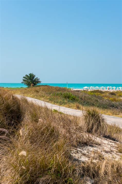 Saadiyat Public Beach, Saadiyat Island, Abu Dhabi, UAE Editorial Image - Image of nature ...