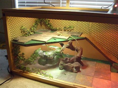 DIY bearded dragon habitat #beardeddragonhabitat | Bearded dragon ...