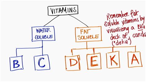 Fat And Water Soluble Vitamins Chart