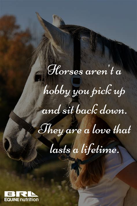 Pin on inspirational horse quotes and horse ideas