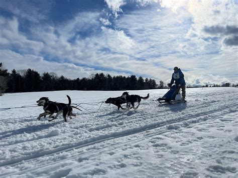 Climate Change Ruins The World Championship Sled Dog Derby