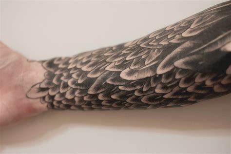 Raven feathers on Behance