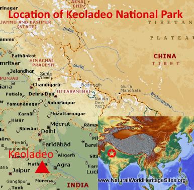 Keoladeo National Park | Natural World Heritage Sites