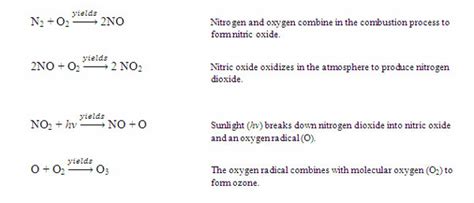 Nitrogen Cycle - microbewiki