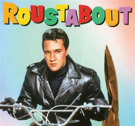 Roustabout - HubPages