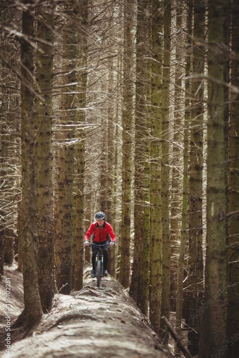 Mountain biker riding on dirt road in woodland Stock Photo | Adobe Stock