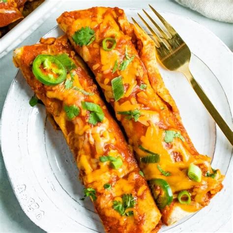 Healthy Chicken Enchiladas - Eating Bird Food