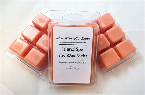 Soy Wax Melts Spa Escape Wax Melts Home & Living lifepharmafze.com