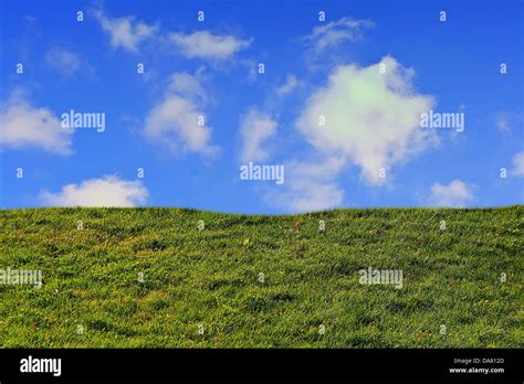 Landscape grass sky with clouds Stock Photo - Alamy