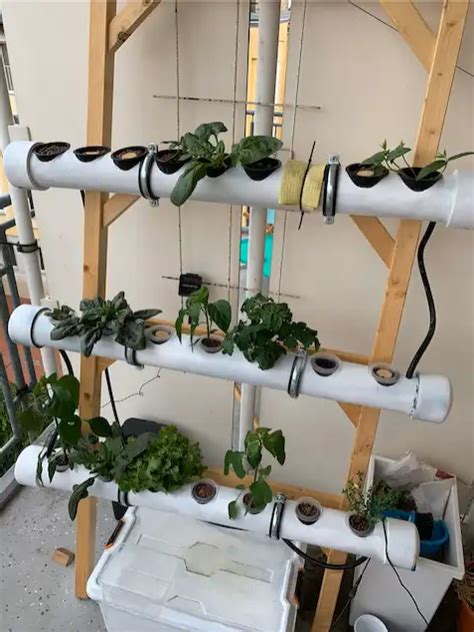 How Hydroponics can be done - DIY Guide to your NFT System - Tago