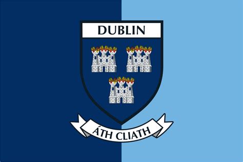 Dublin County Crest Flag – Flags Ireland Prospect Design