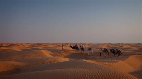 Sahara desert: from Douz to Ksar Ghilane - True Tunisia / season 1 ...