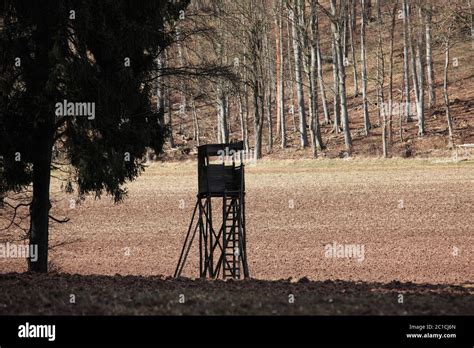 High seat for hunting Stock Photo - Alamy