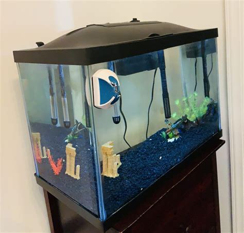 10 gallon fish tank cover - conceptglop