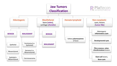 Jaw Tumors Classification [Mnemonic]