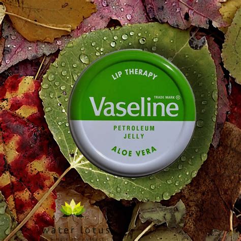 Vaseline Lip Therapy Aloe Vera Tin 20g