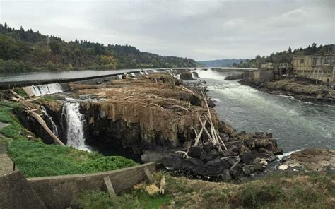 willamette-falls-guided-tour-large- – 1 – Author Paul Gerald