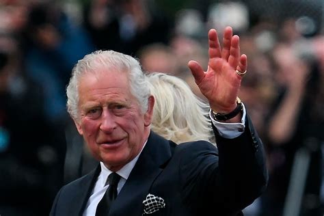 ‘God save the King!’ Smiling Charles greets crowd at palace