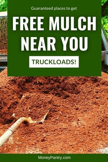 17 Ways to Get Free Mulch Near You - MoneyPantry