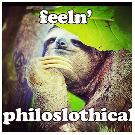 #1 Meme of All-Time! ---> Sloth. | Sloths funny, Sloth meme, Funny animals