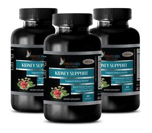 metabolism booster pills - KIDNEY SUPPORT - antioxidant complex - 3 ...