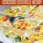 Dutch Oven Chicken Noodle Soup - Swirls of Flavor