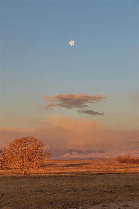 Portrait of a Setting Moon at Sunrise Photograph by Tony Hake