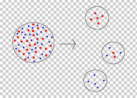 Founder Effect Population Bottleneck Small Population Size Genetic Variation Genetics PNG ...