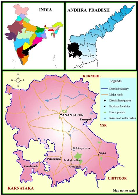 Map showing lichen explored areas in Anantapur district of Andhra Pradesh | Download Scientific ...