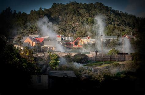 Whakarewarewa Rotorua Guided Day Tour - Scott Tours Tauranga