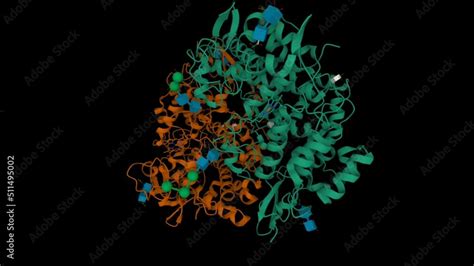 Structure of unoccupied cyclooxygenase-1 homodimer. Animated 3D cartoon ...