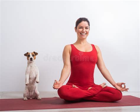 Lotus To Puppy Pose Stock Photos - Free & Royalty-Free Stock Photos ...