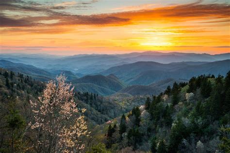 Verborgen parel in de USA: Great Smoky Mountains National Park