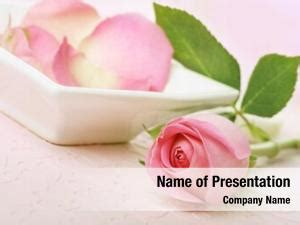 Rose Petal PowerPoint Templates - Rose Petal PowerPoint Backgrounds ...