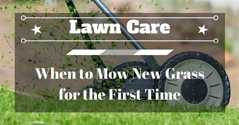 When to Mow New Grass for the First Time - Grow Your Way - www.TinyPlantation.com