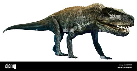 Postosuchus hi-res stock photography and images - Alamy