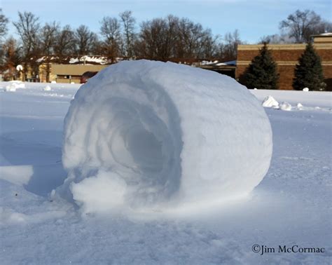 Ohio Birds and Biodiversity: Snow Rollers! Snow Rollers!