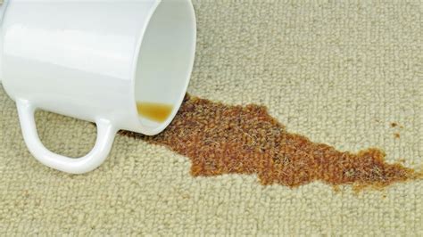 How To Remove Coffee Stains Without Chemicals: Tips and Tricks - Utopia