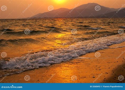 Gold sunset stock photo. Image of dark, shoreline, coast - 3260692