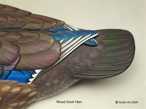 Wood Duck Hen Photo Packet - Godin Art