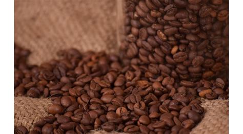 Qué es el café arábica - Descubre su Sabor, Calidad y Crecimiento