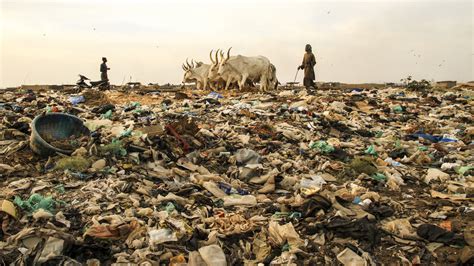 FAO - Noticias: Un informe lanza la alarma sobre la contaminación del suelo