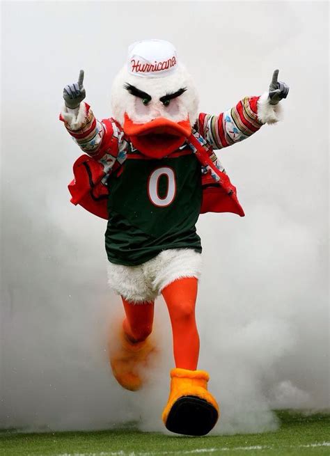 University Of Miami Mascot Logo