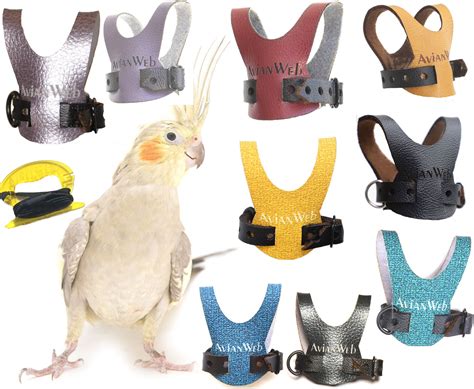 Avianweb Bird Harness With 6 Ft Leash Specifically Sized for Cockatiels - Etsy | Pet harness ...