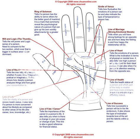 Uncover Palmistry Lines Meaning Now Easily!: Uncover Palmistry Lines Meaning Easily Now!