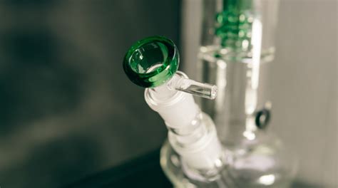 The Ultimate Guide to All the Different Types of Bongs