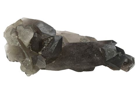 6.5" Dark Smoky Quartz Crystal Cluster - Brazil (#234063) For Sale - FossilEra.com