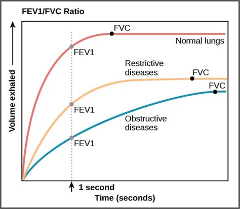 Assessment of Pulmonary Function – A Mixed Course-Based Research Approach to Human Physiology