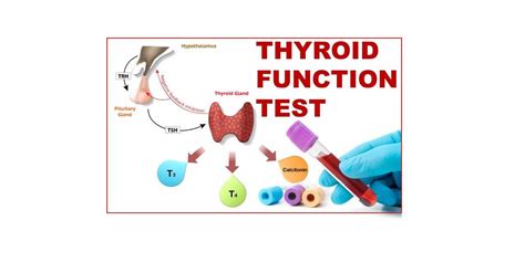 THYROID FUNCTION TESTS - Pathology Made Simple