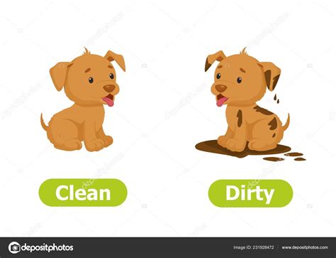 Vector Antonyms Opposites Clean Dirty Cartoon Characters Illustration White Background Stock ...